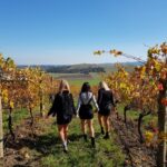 3 ladies in vineyards in Yarra Valley