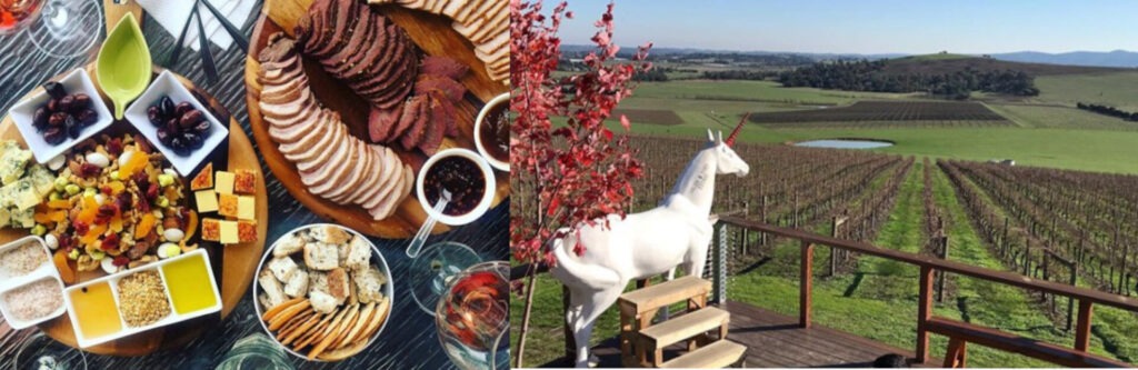 wine buffs luxury yarra valley tour