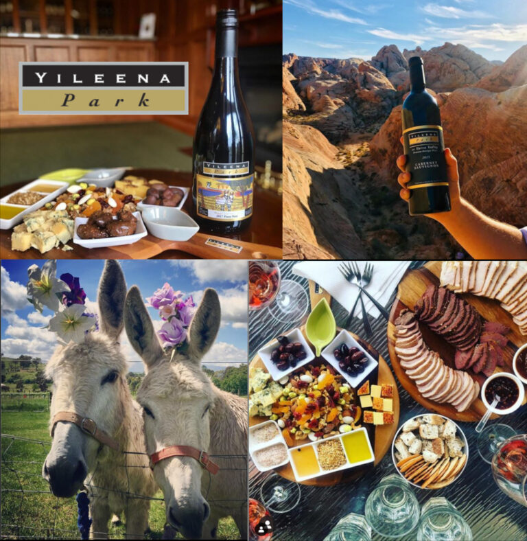 We visit the bset rates Yarra Valley wineries