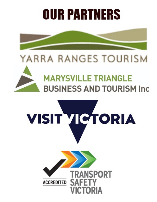 Evergreen wine tours partners
