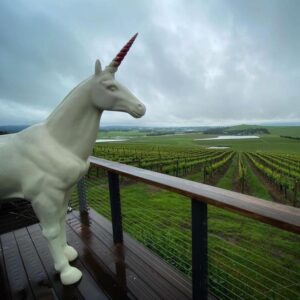 Helen & Joey winery and vineyard in Yarra Valley region.