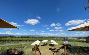 Greenstone outdoor winery and vineyard in Yarra Valley.