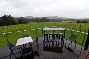 Steels Gate Winery and vineyards in Yarra Valley