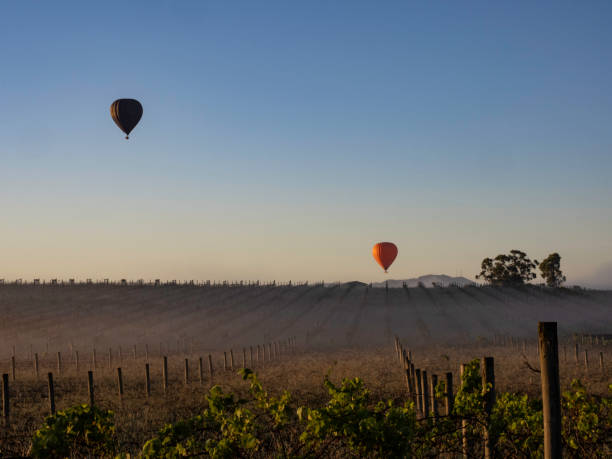Hot air balloons at sunrise in the Yarra Valley