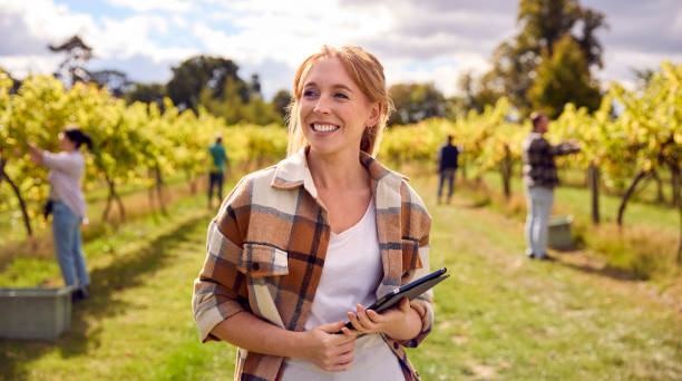 group of people having a grape picking activity to foster positive team bonding