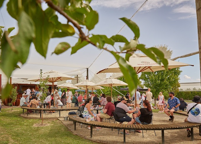 Napoleone Brewery and Ciderhouse